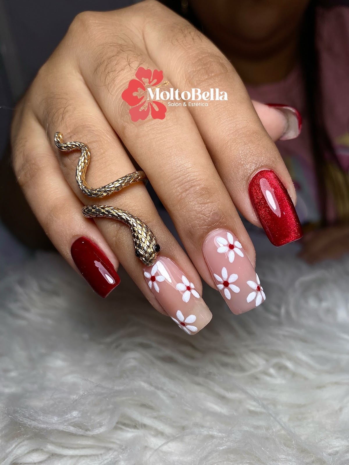 MOLTO BELLA