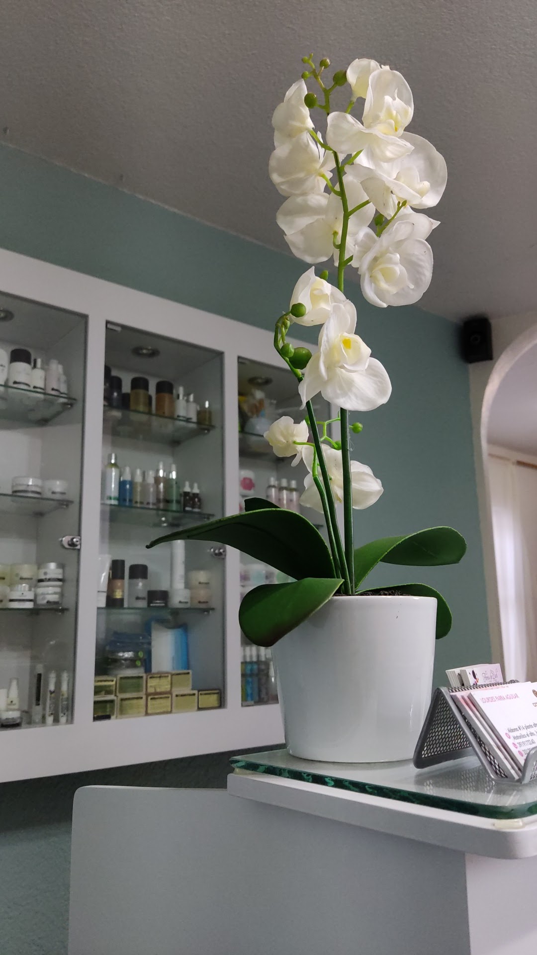 Plascencia's Salon