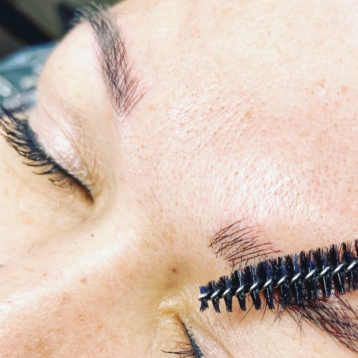French Brow Bar