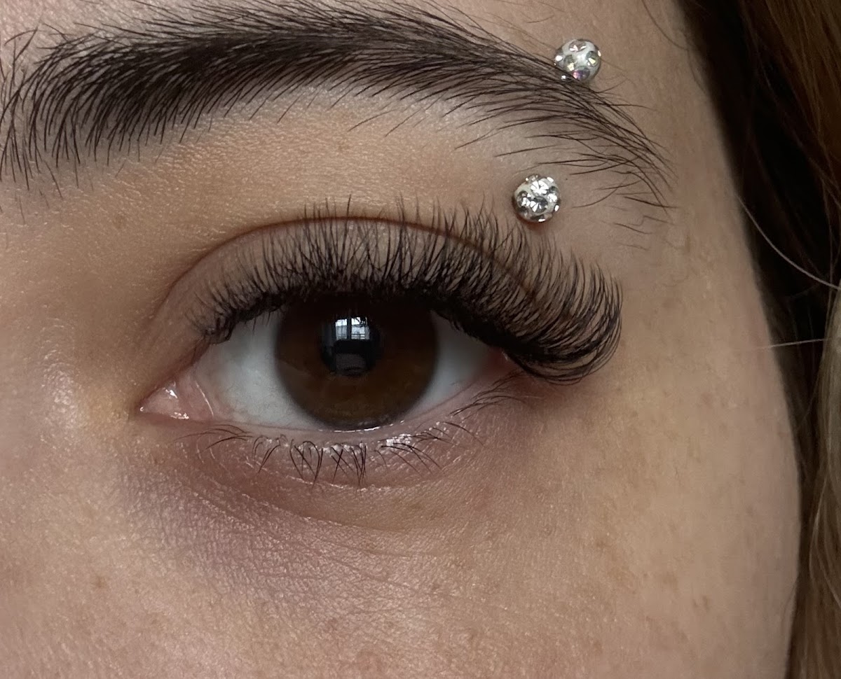 Studio Lashes