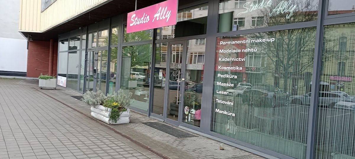 Studio Ally