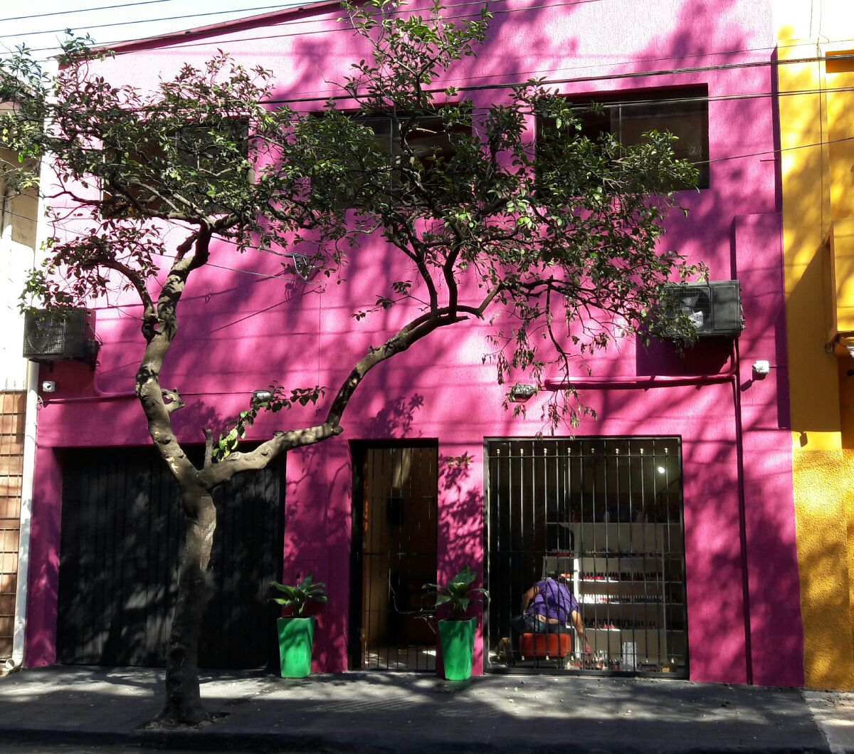 Magnolia pink
