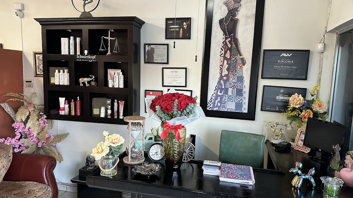 Daniza Salon