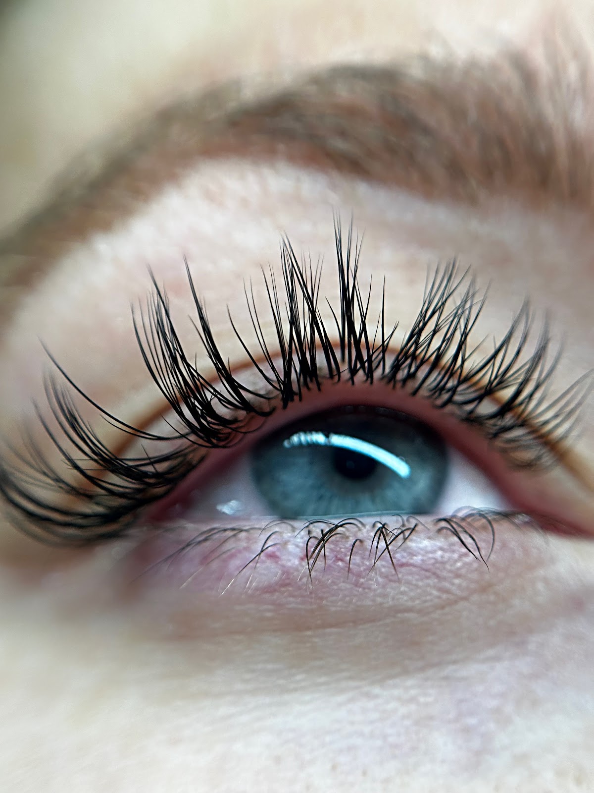 Lash Pilot Santa Monica