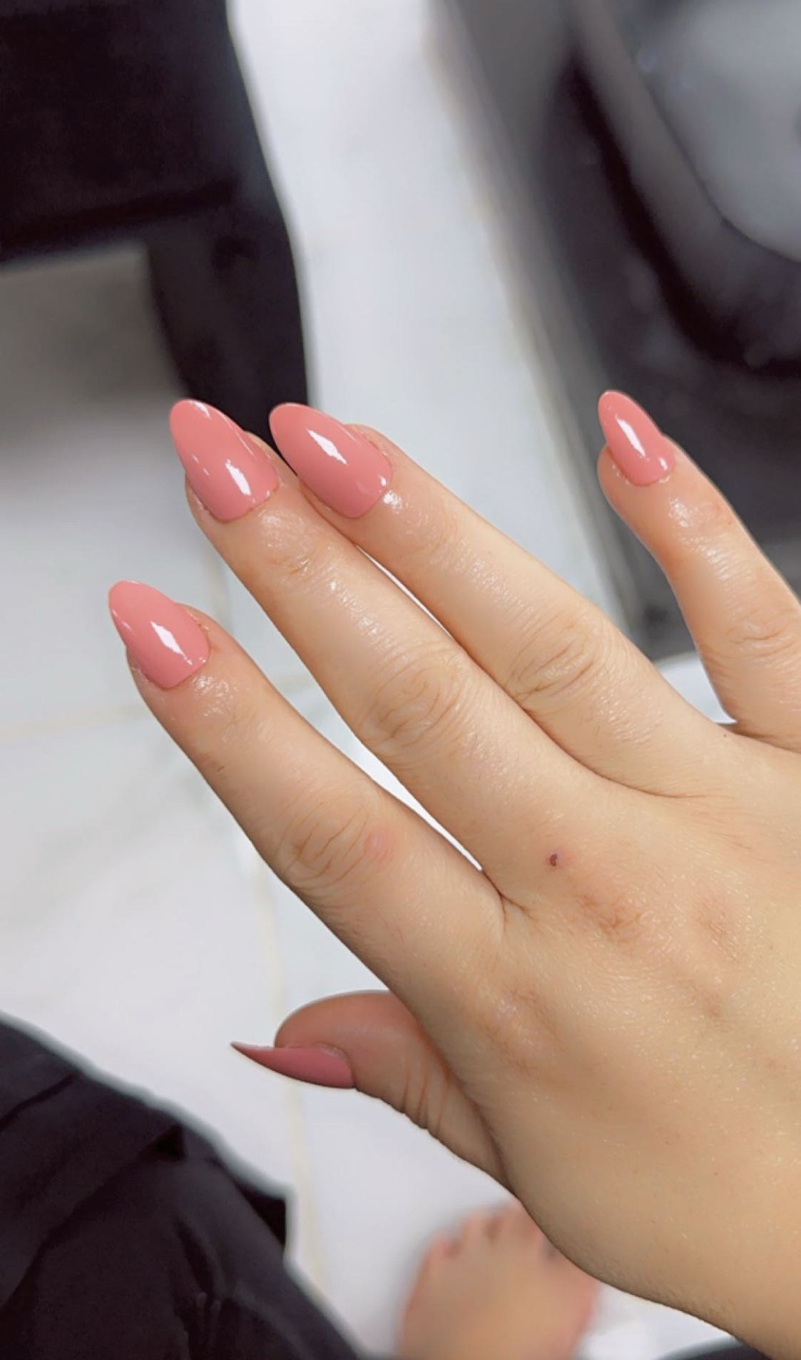 Canna Lily Ladies Salon