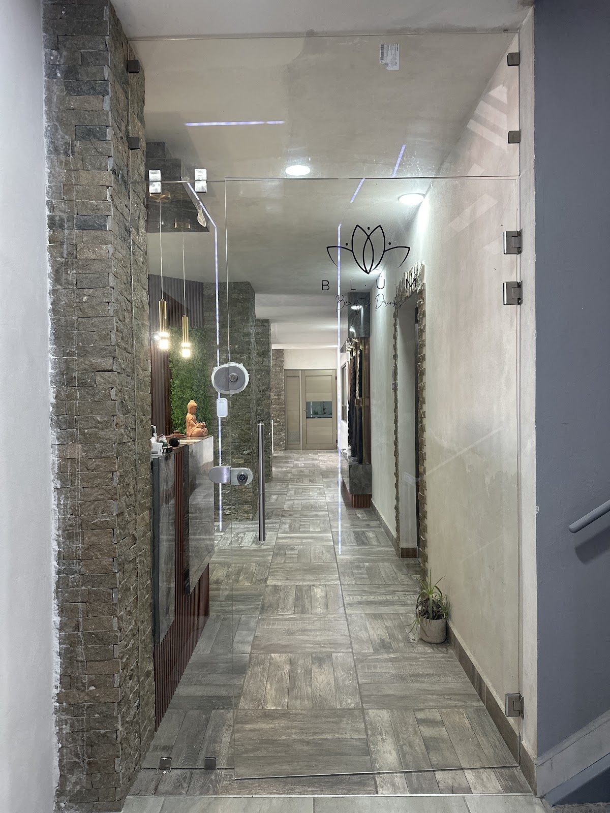 BLUM studiio