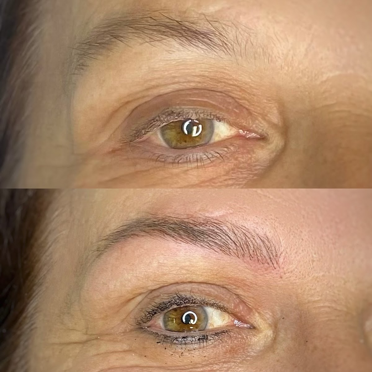 DermaUp Budrio Bologna