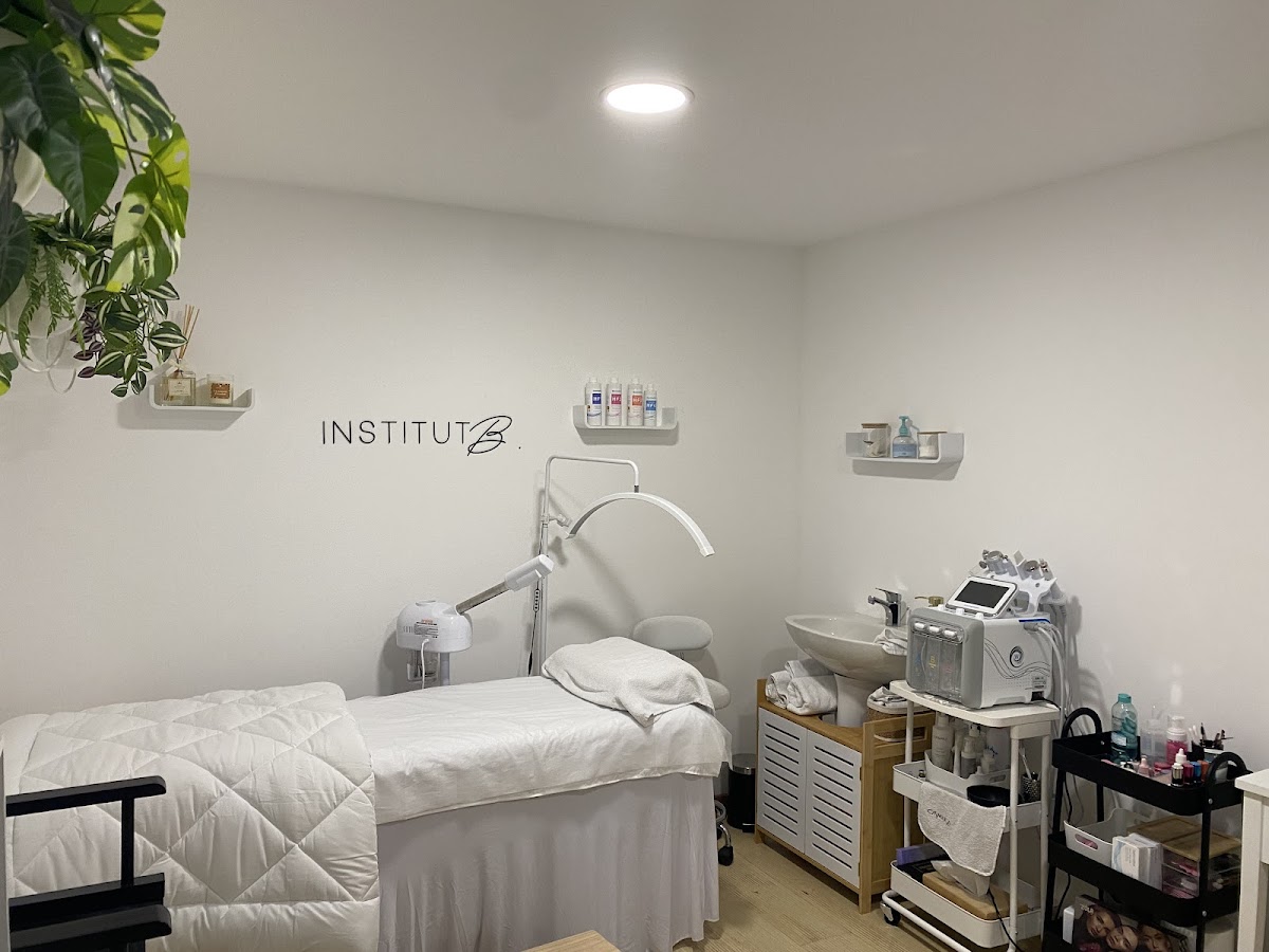 Institut B.
