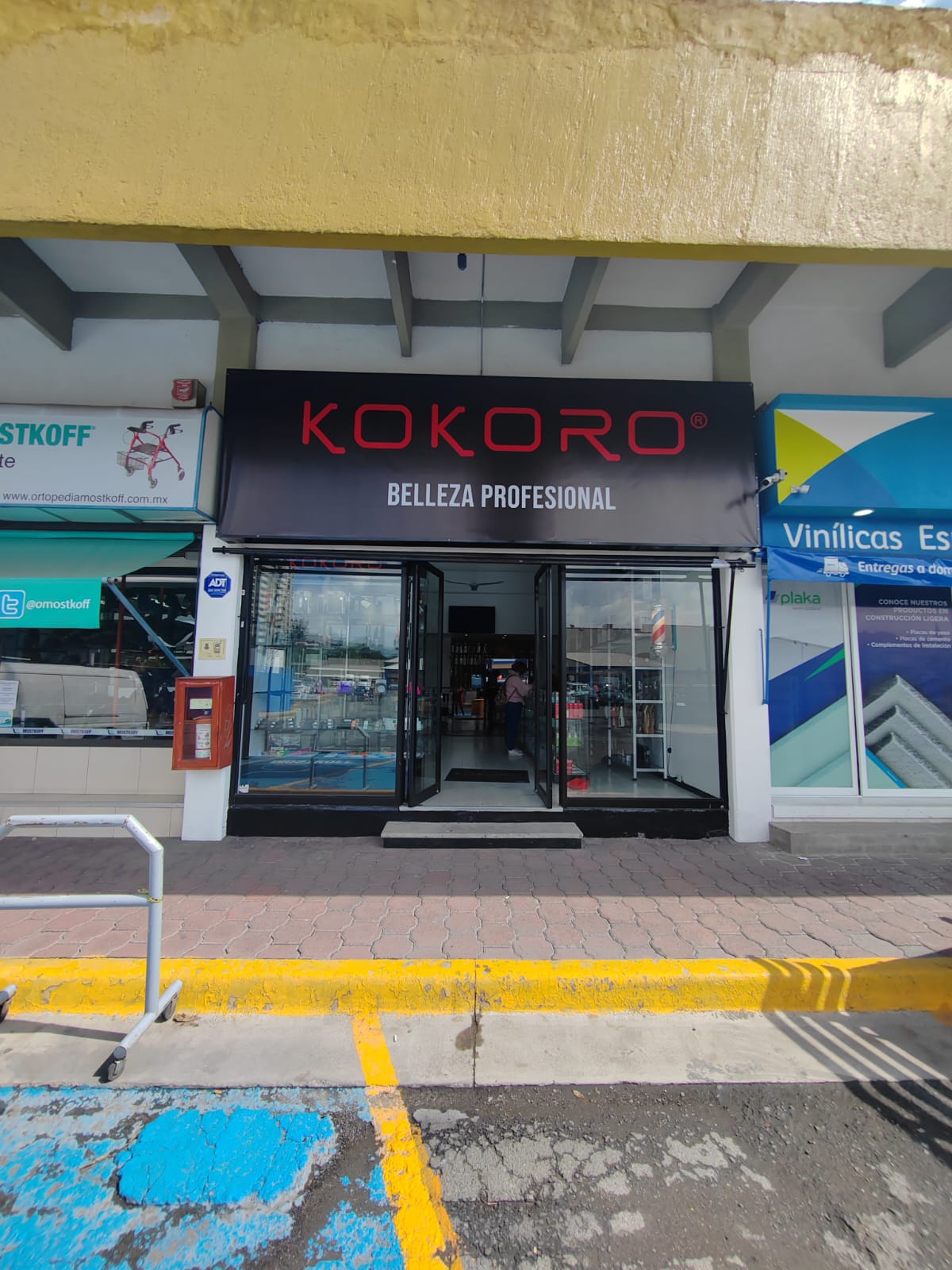 Kokoro San Jeronimo