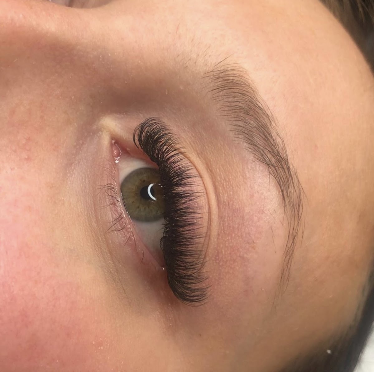 The Lash Life