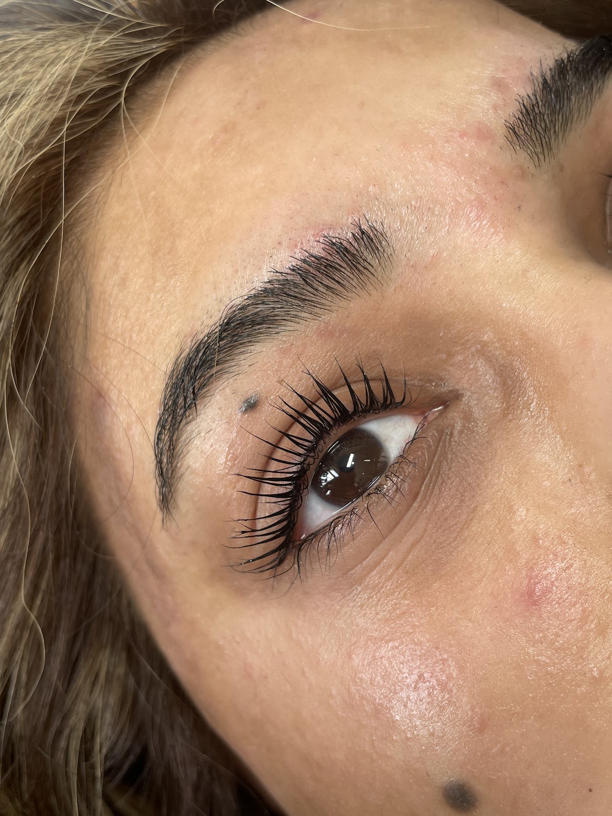 Pretty Lash Lounge