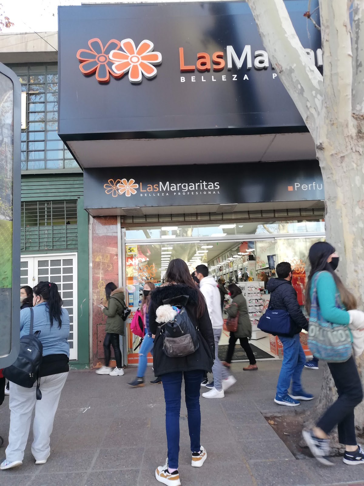 Las Margaritas