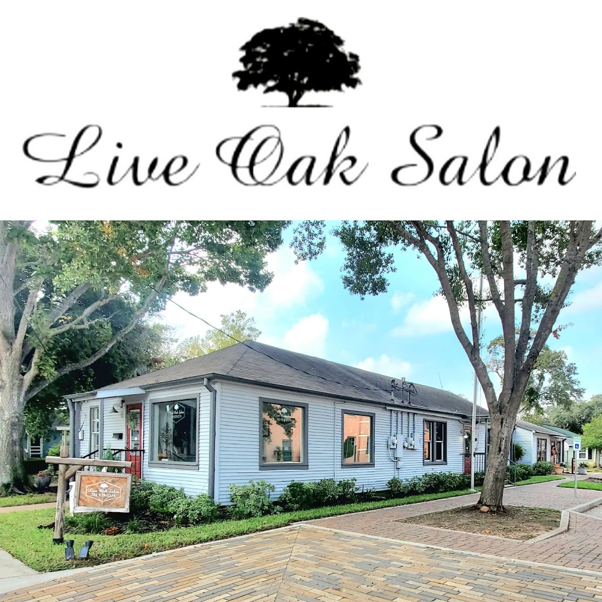 Live Oak Salon