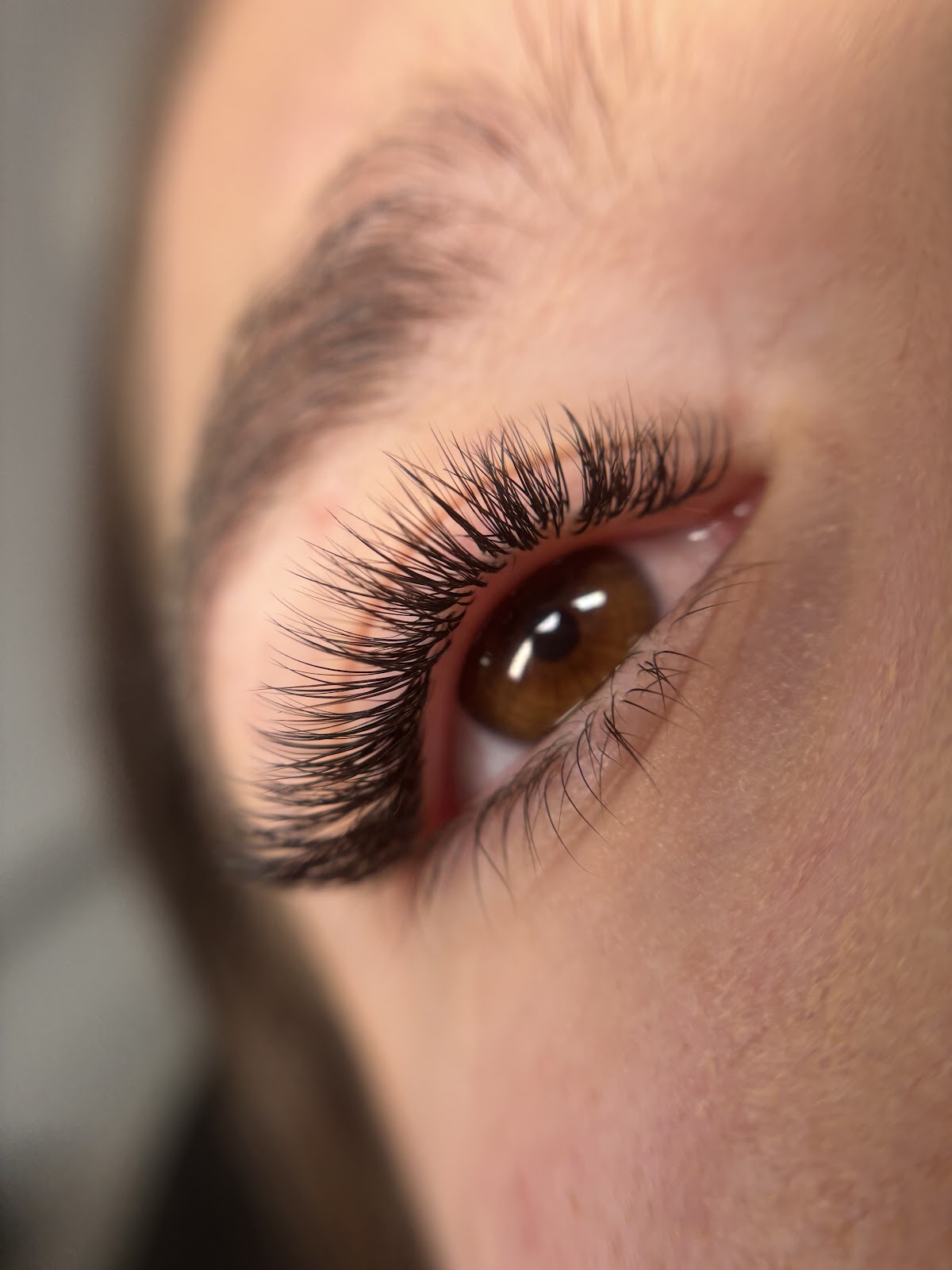 Lash n brow Bar