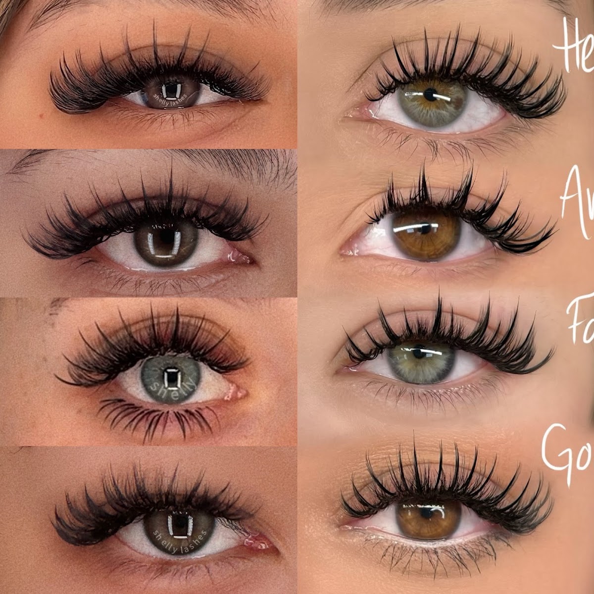 Shelly Beauty Studio