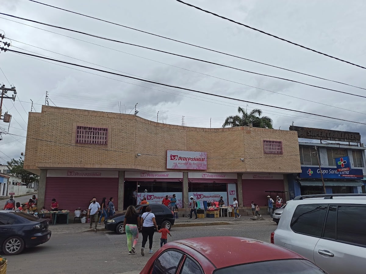 Perfumeria Profesional