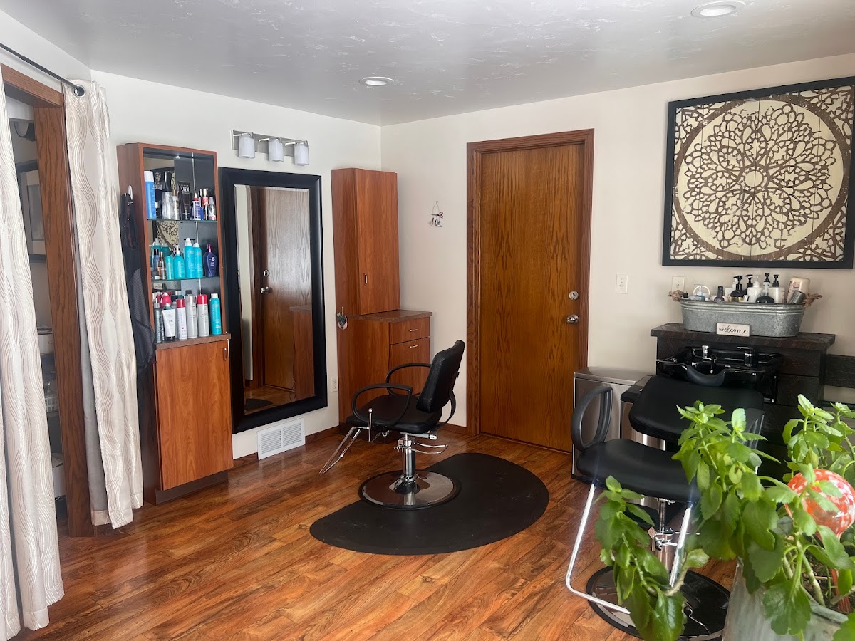 Bbella Salon and Bella Brows