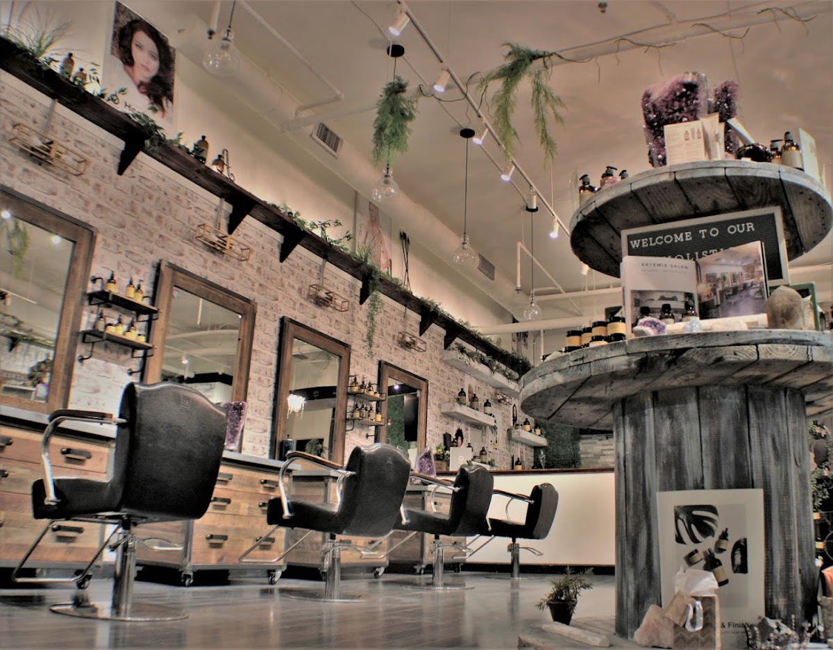 Artemis Studio