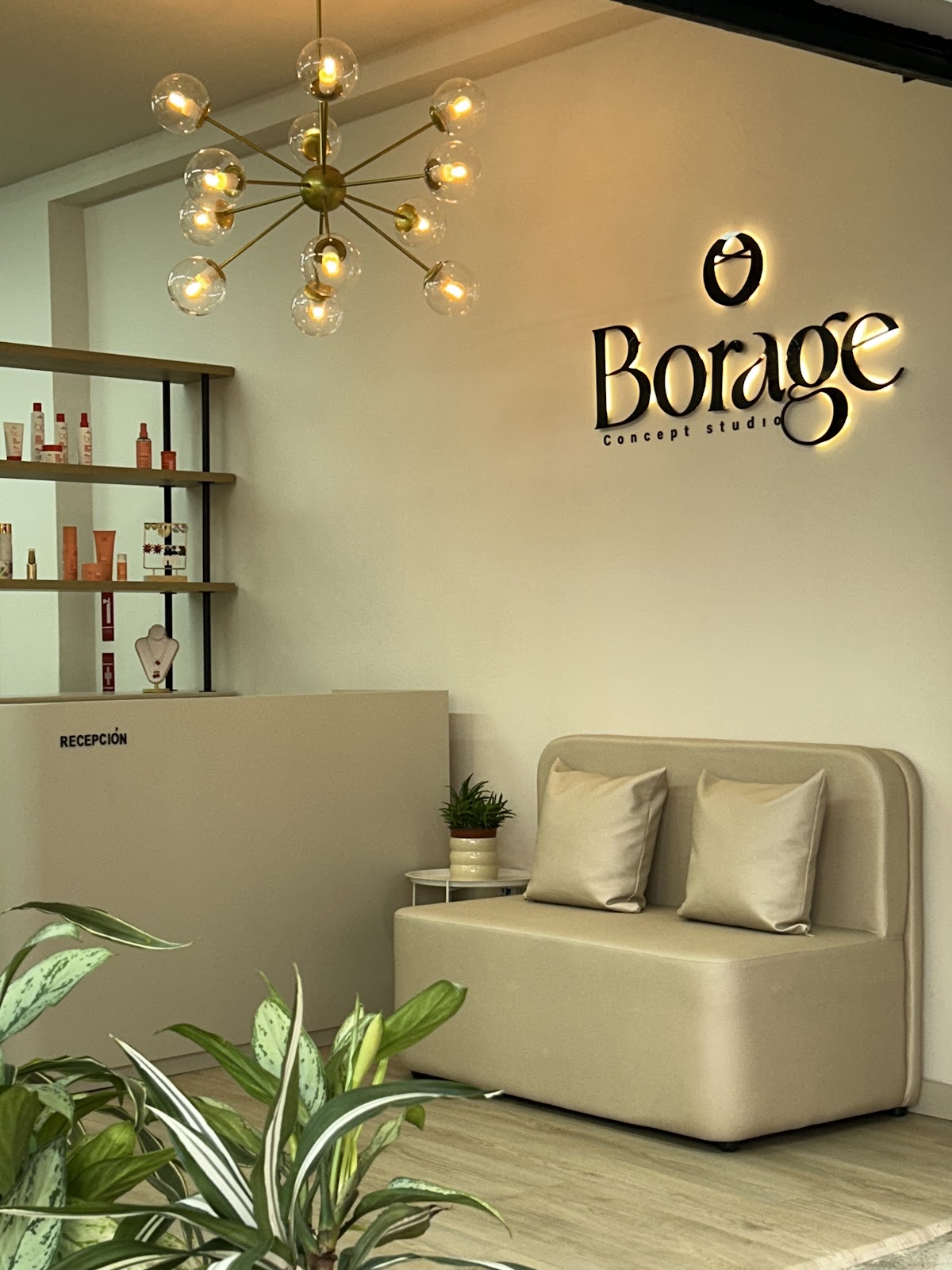 Borage Concept Studio