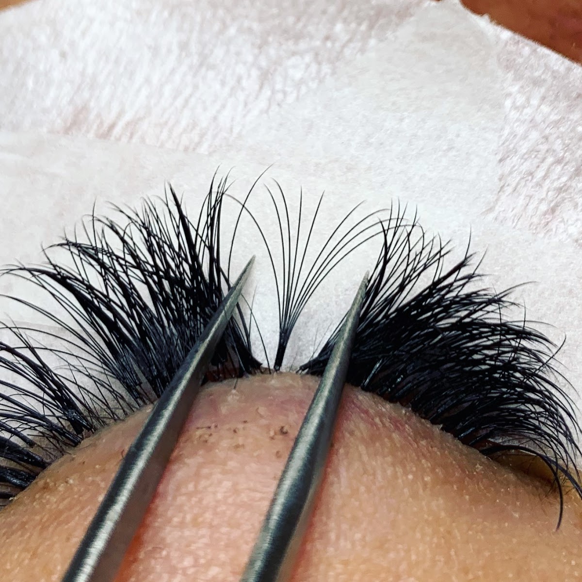 Face-N-Lash
