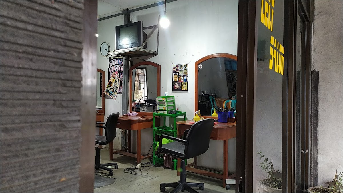 Lely Salon