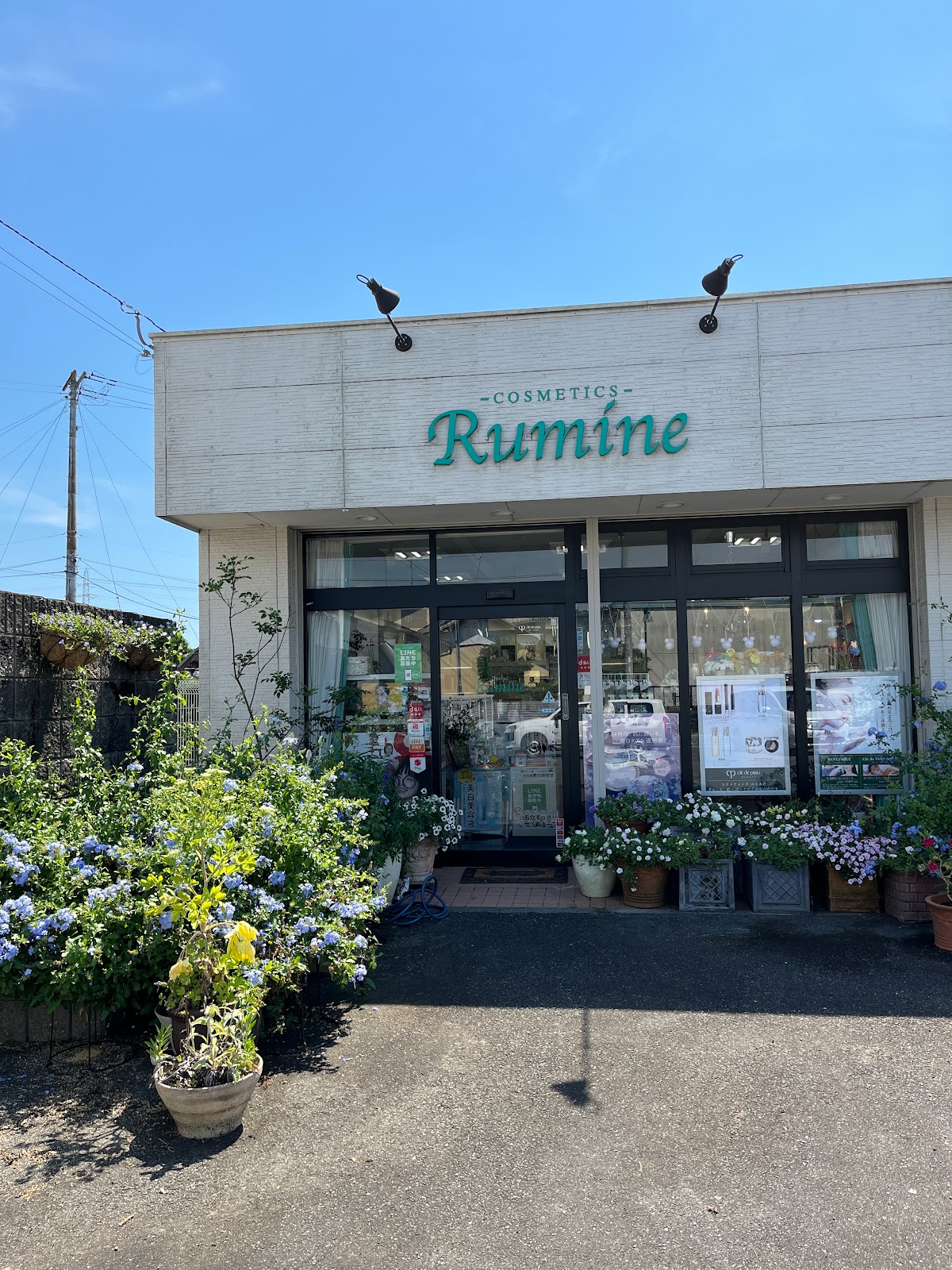 Cosmetic Lumine