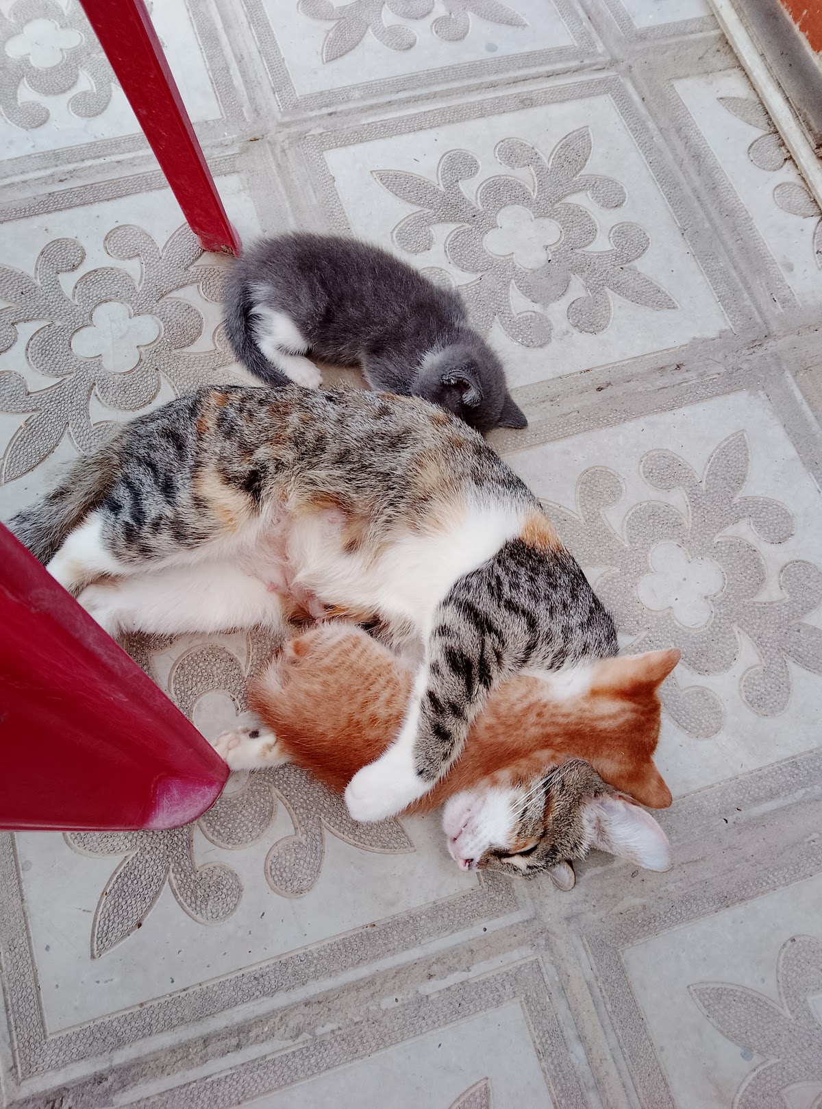 Sevinc Gozellik Salonu
