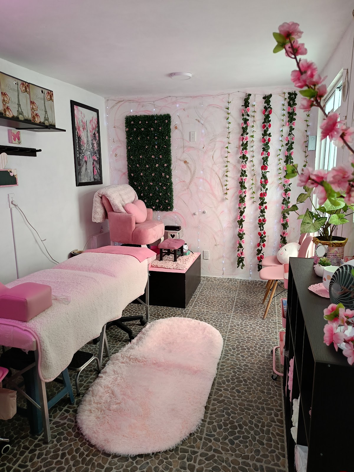 Sala de Belleza Manita de gato