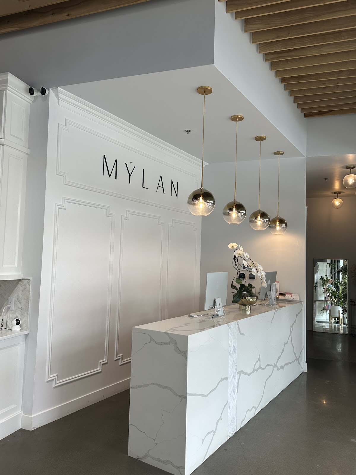 Mylan Salon