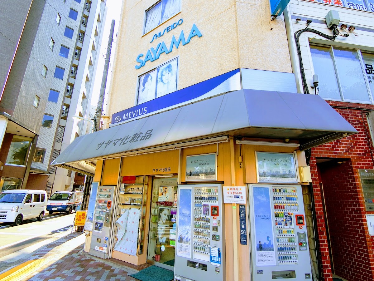 Sayama Keshohinten