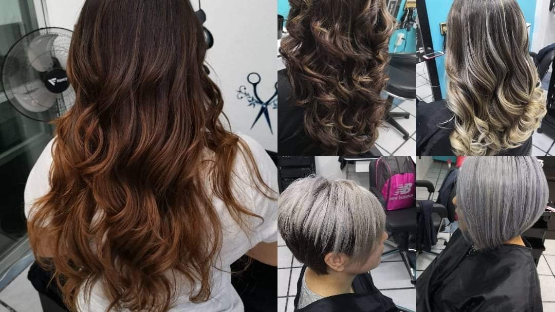 Ana Salon M. R