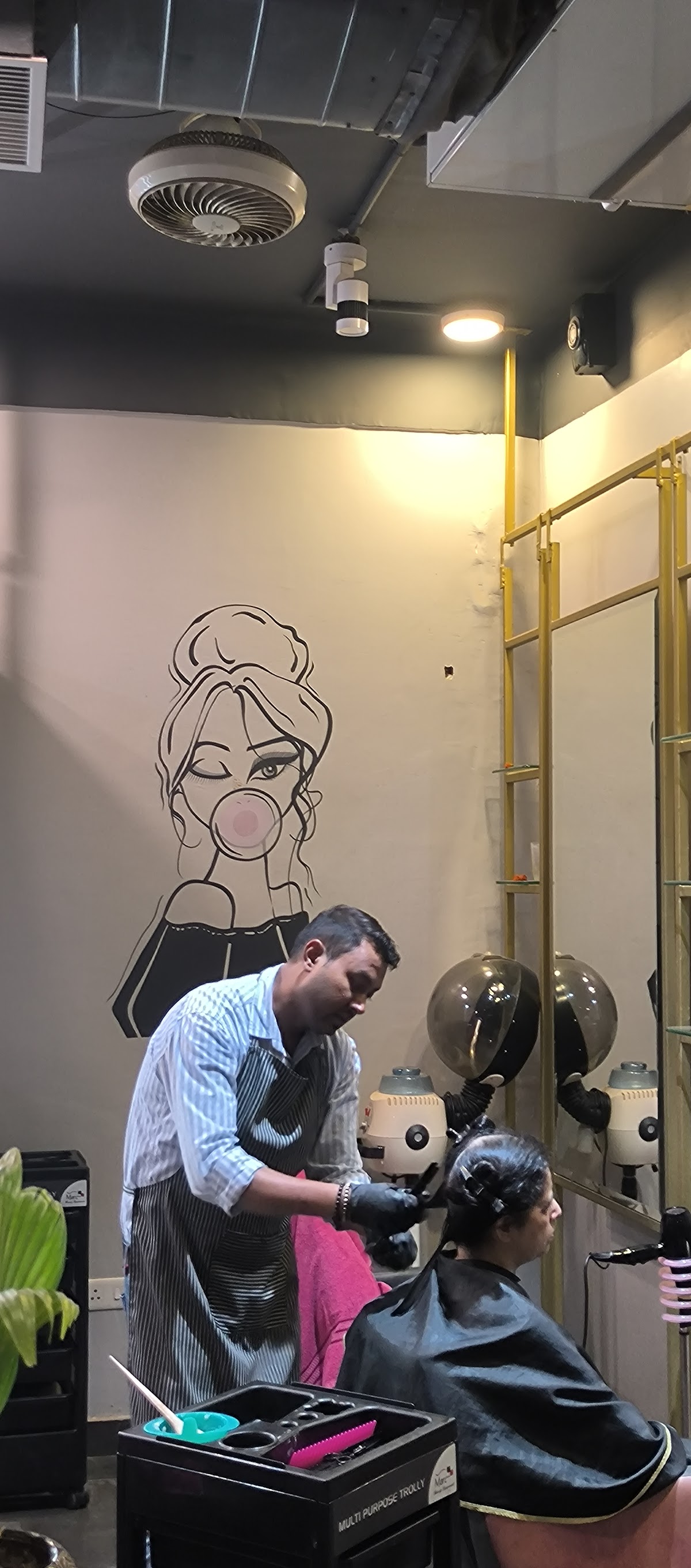 Professionnel Salon & Academy