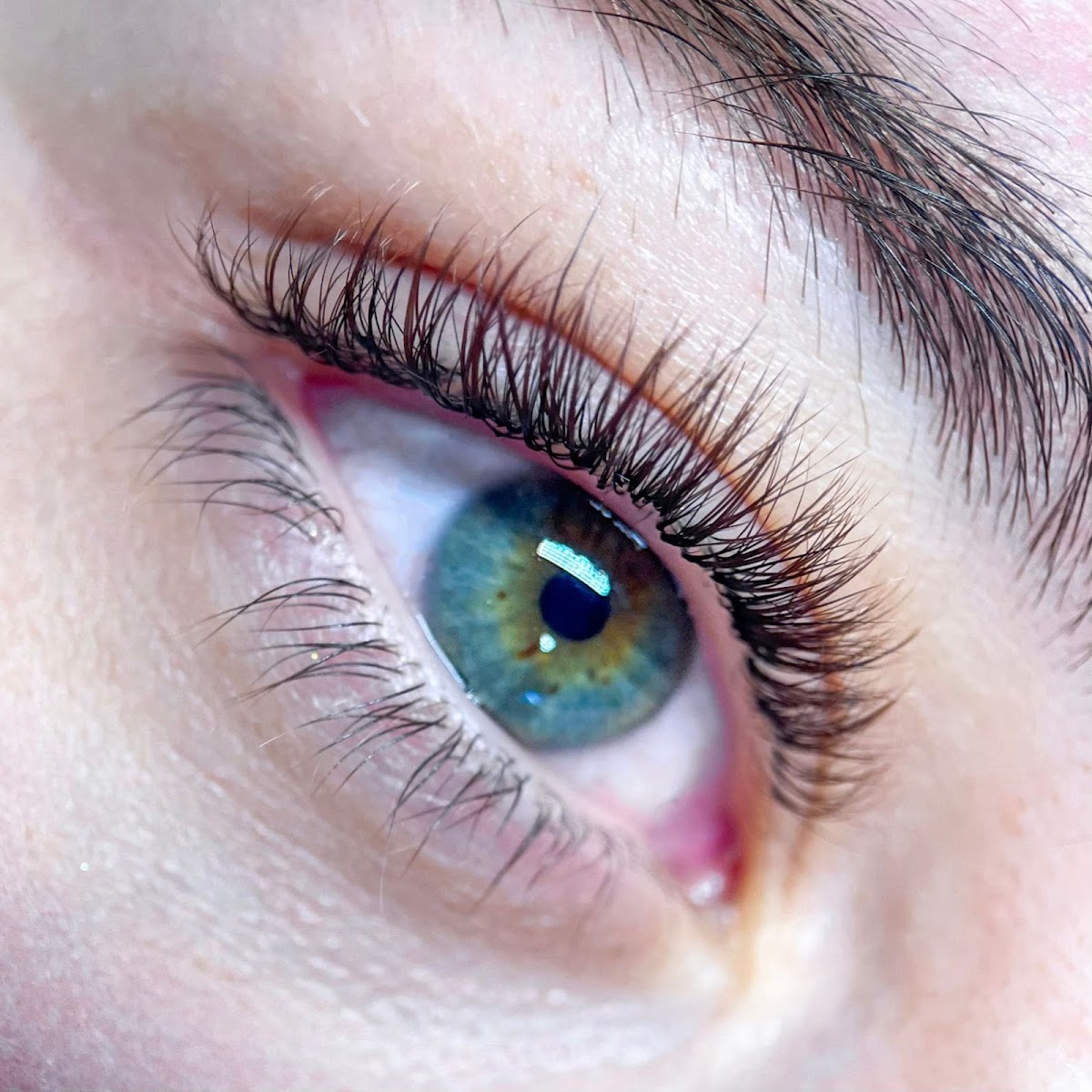Coco Lash&Brows