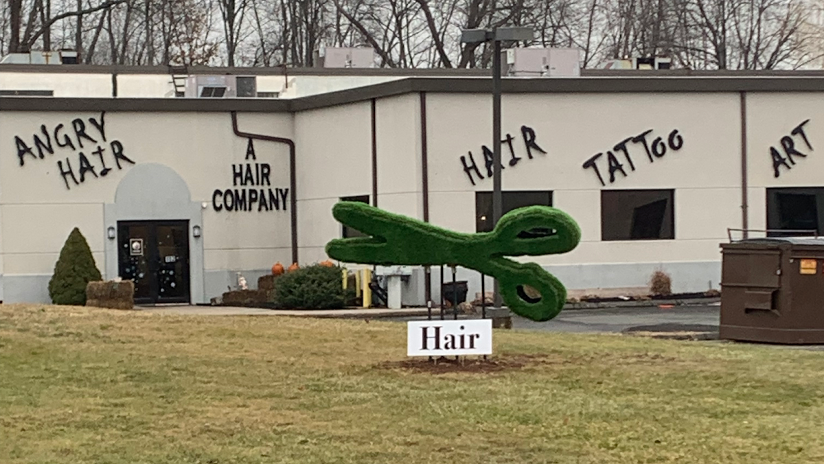 AngryHair