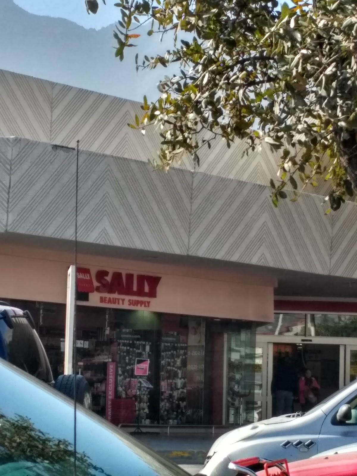 Sally Soriana Santa Catarina