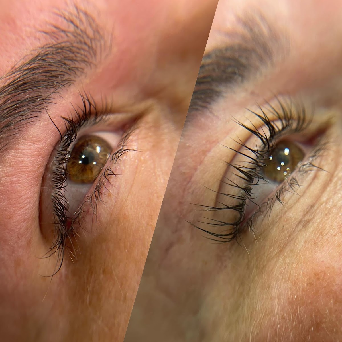 Nauka Brows