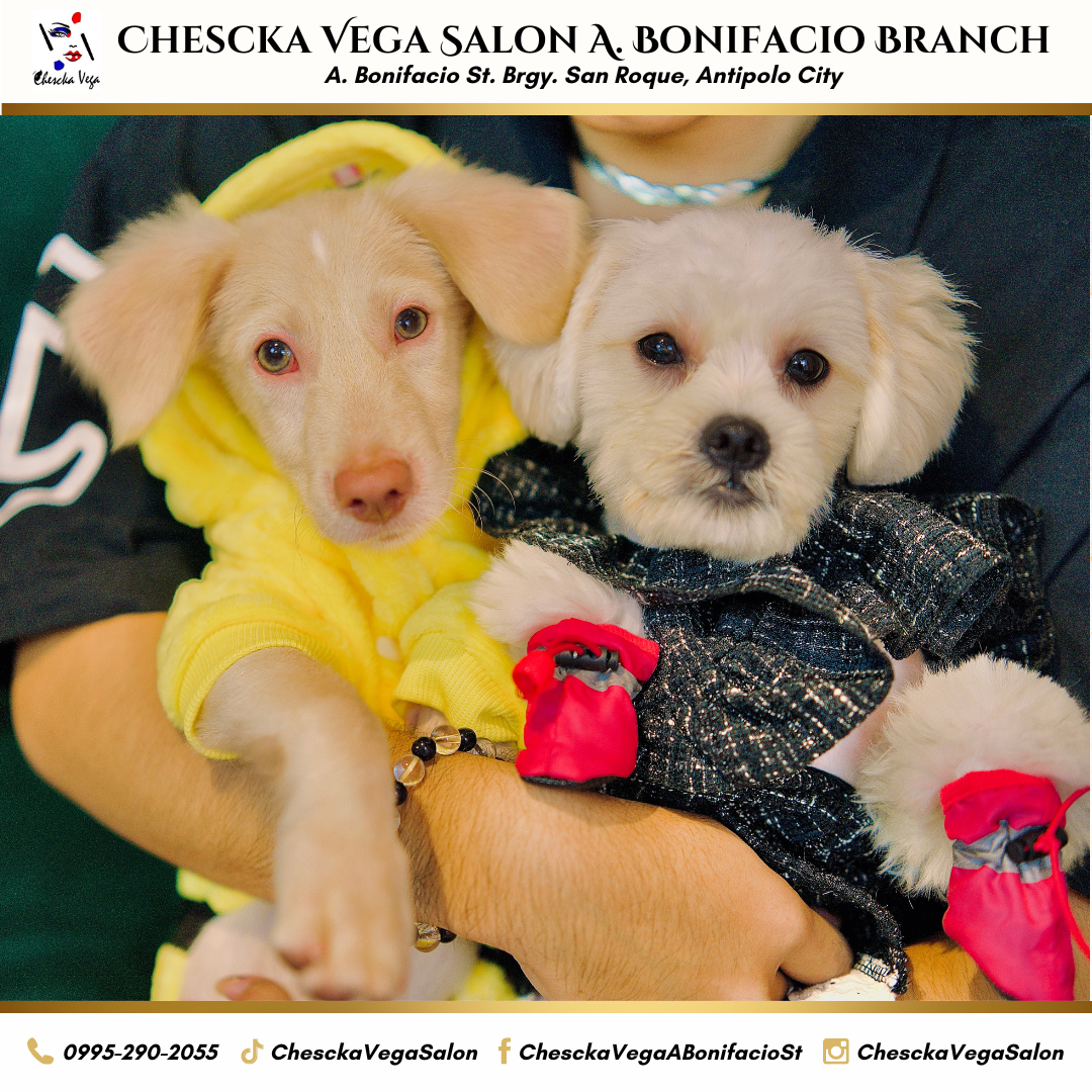 Chescka Vega Salon
