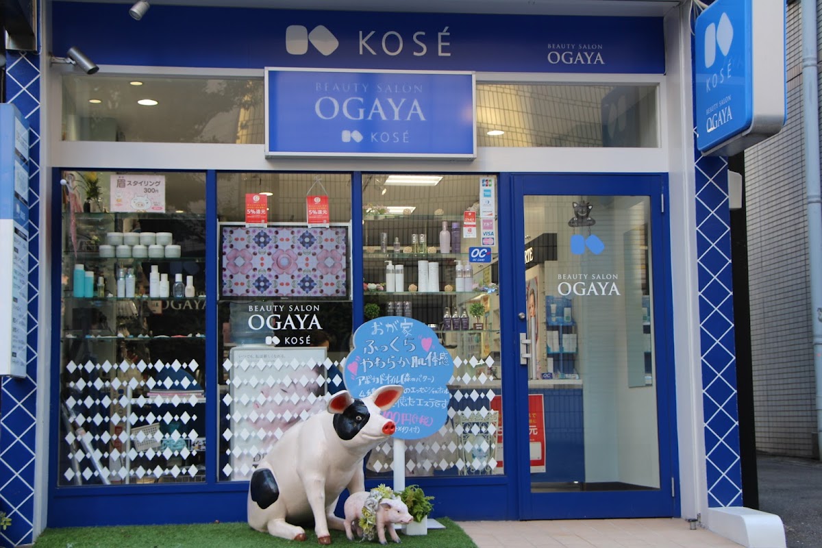 BEAUTY SALON OGAYA