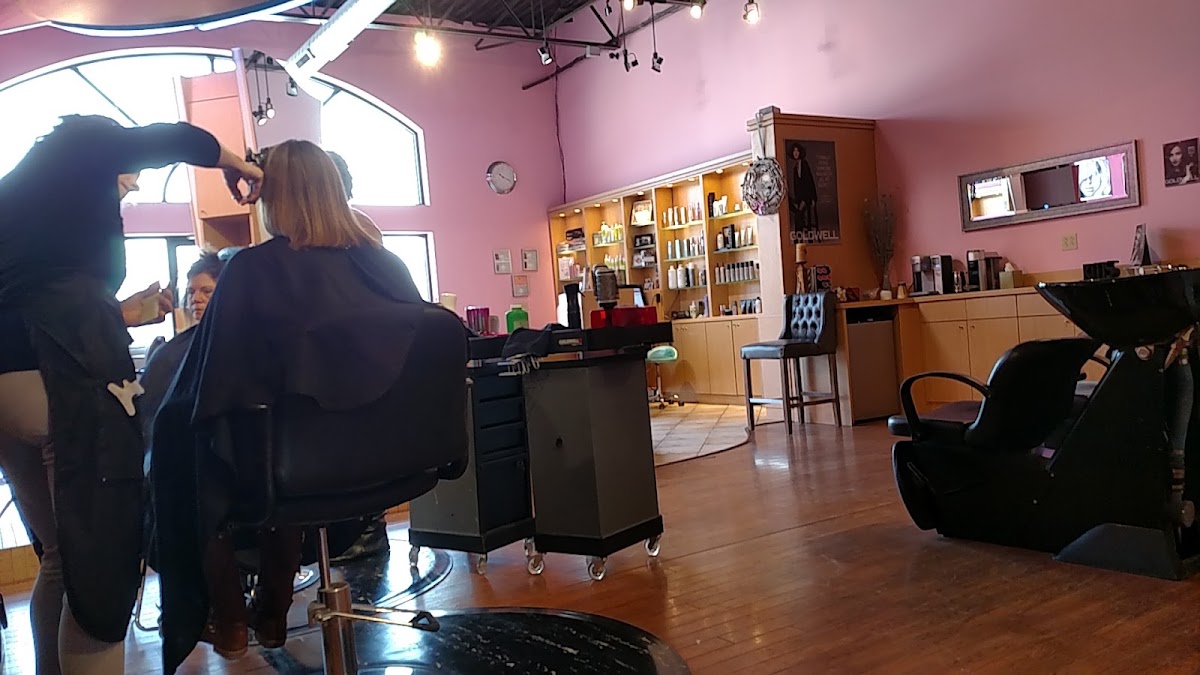 Vivid Salon
