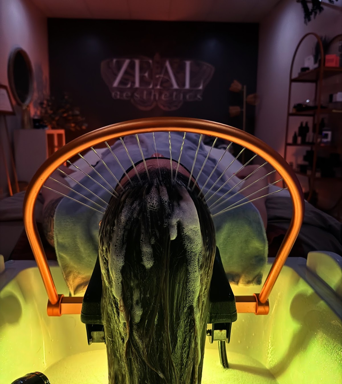 Zeal Aesthetics
