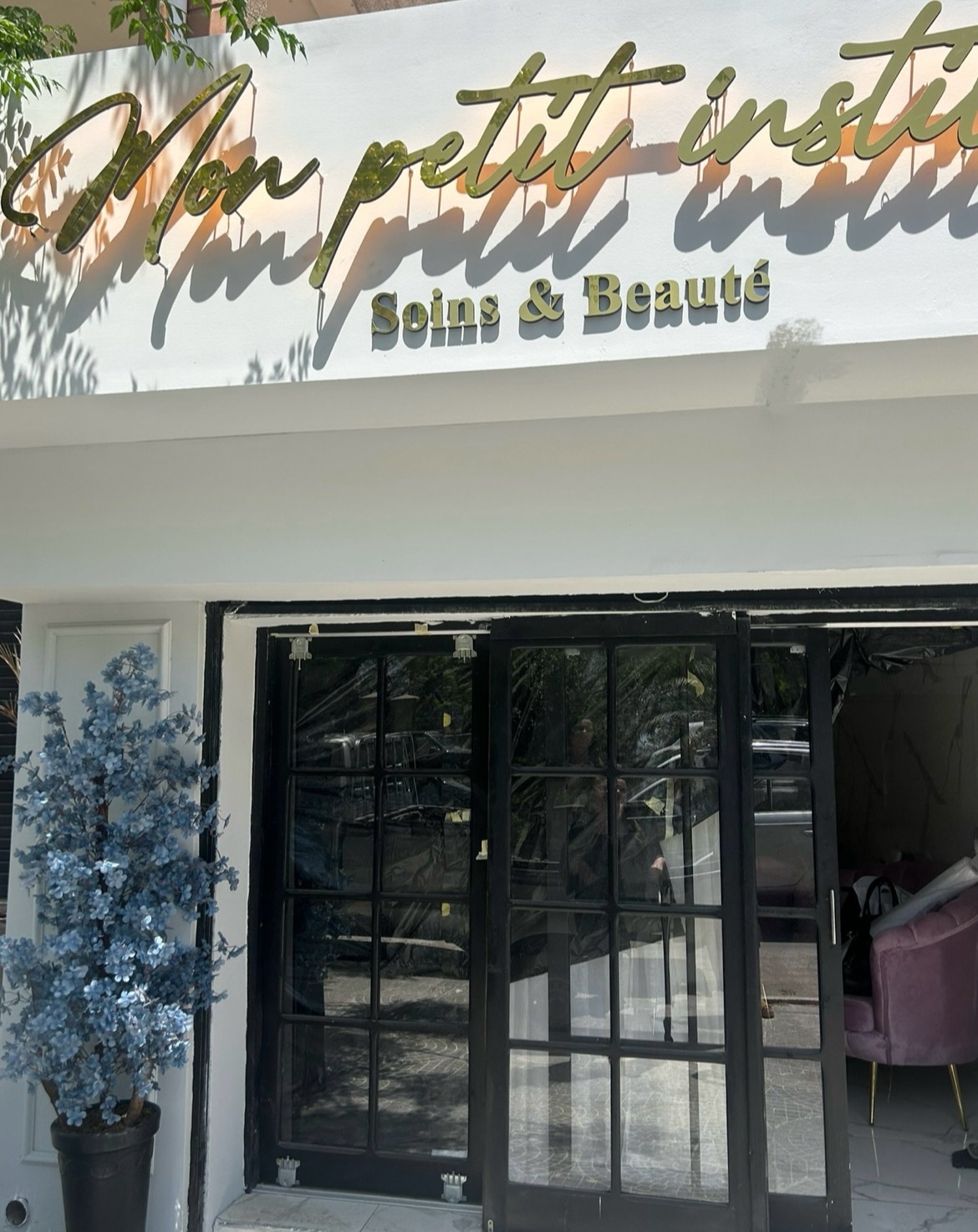Mon petit institut