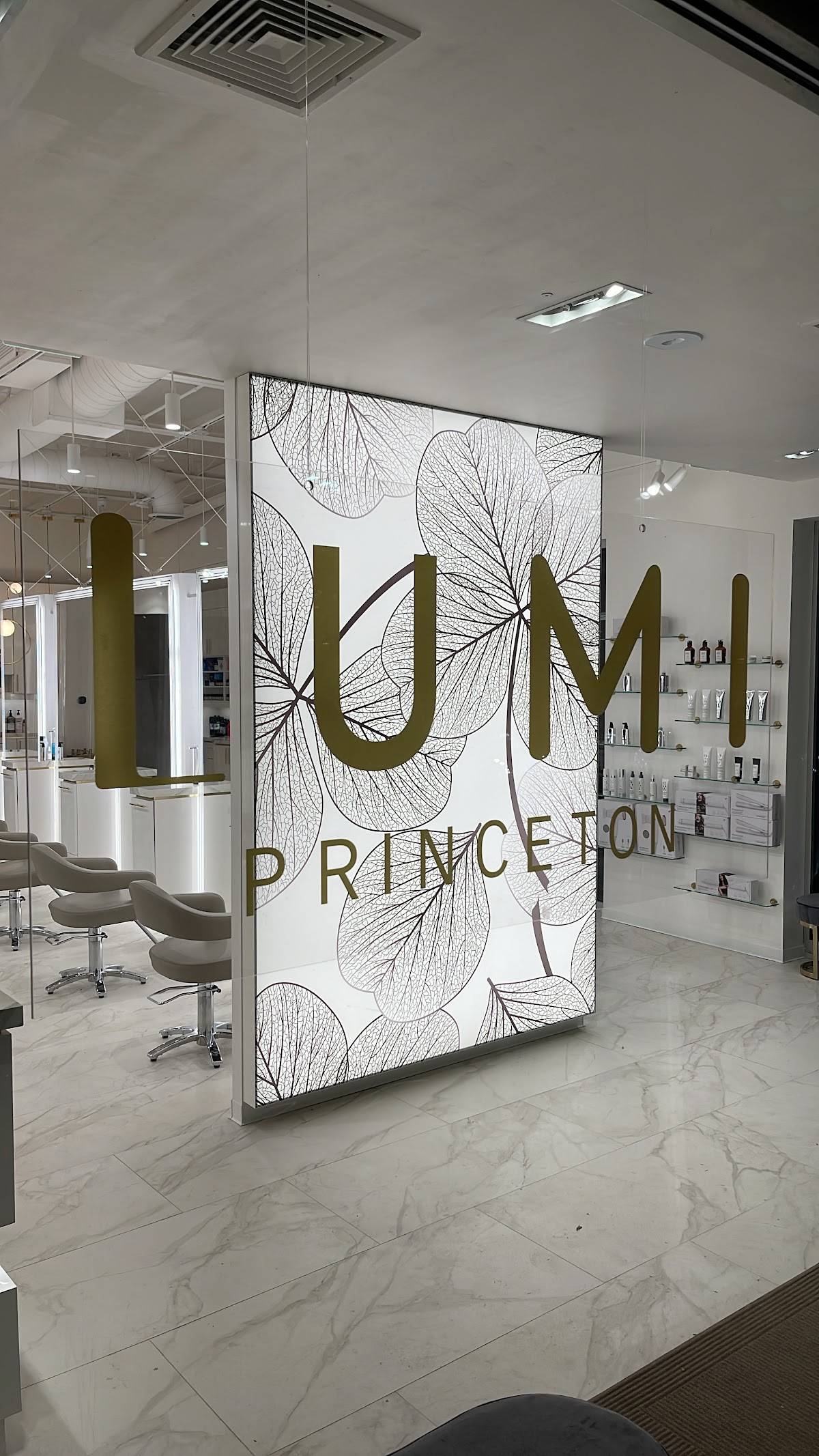LUMI Princeton