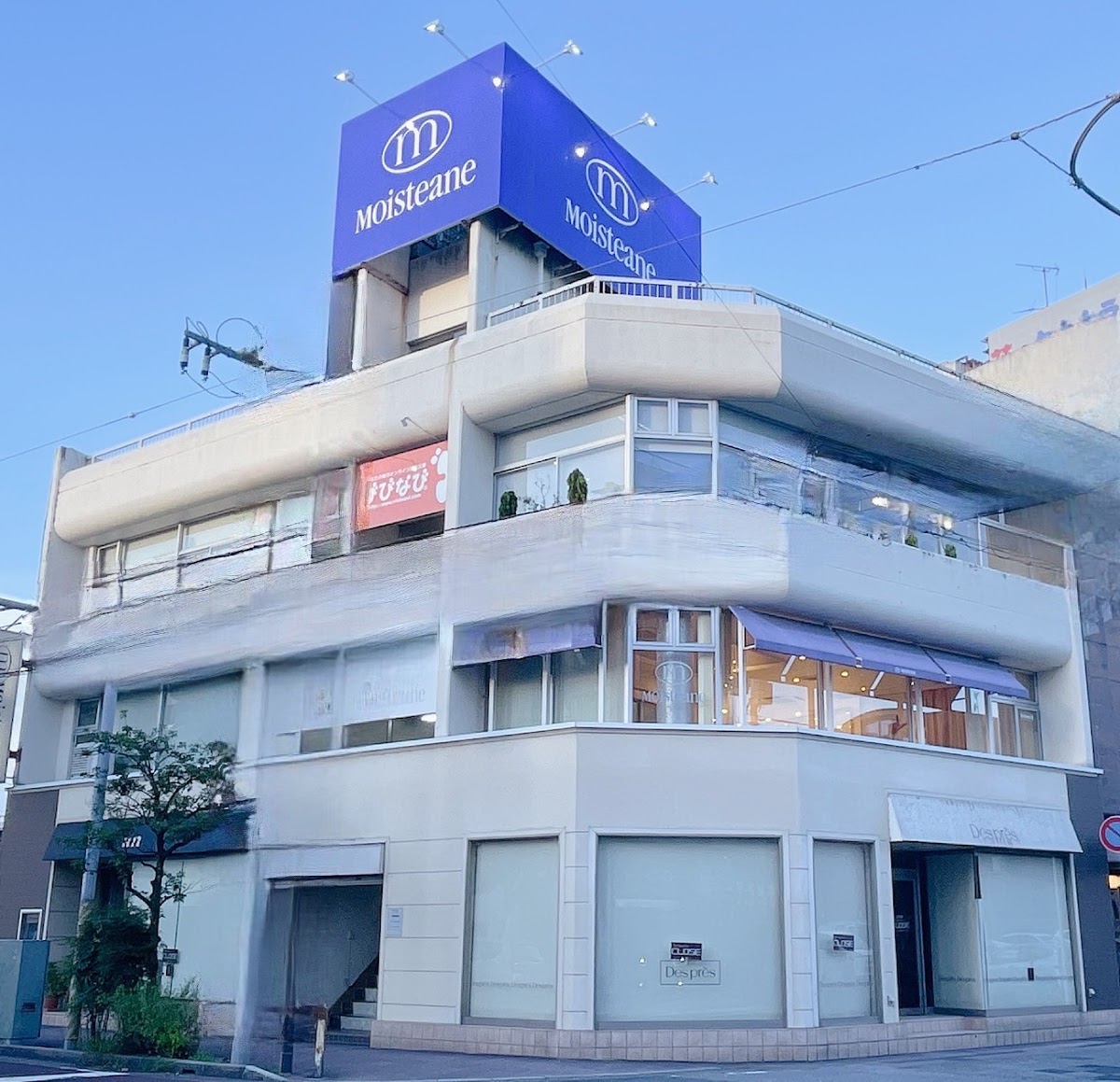 Moisteane Kisarazu Salon
