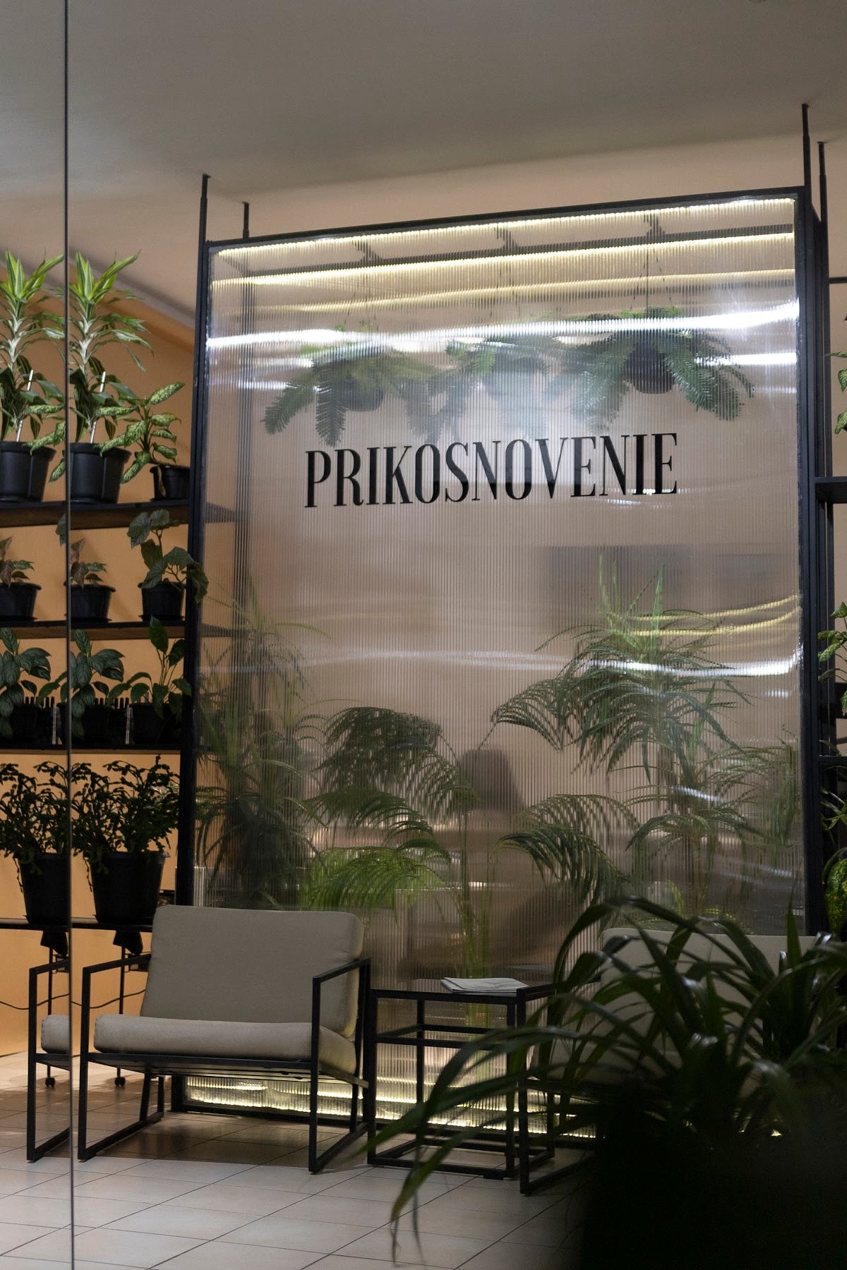Prikosnovenie