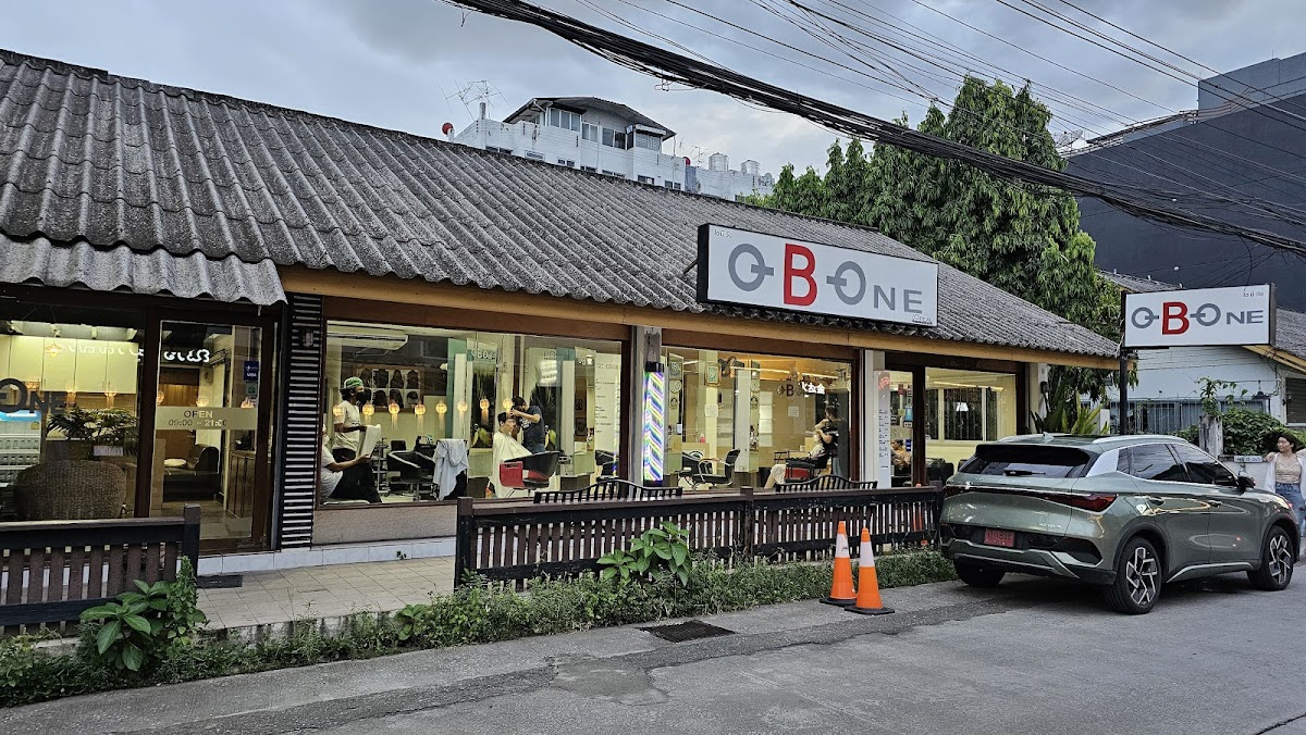 O-B-One Hair Color Expert and Treatment