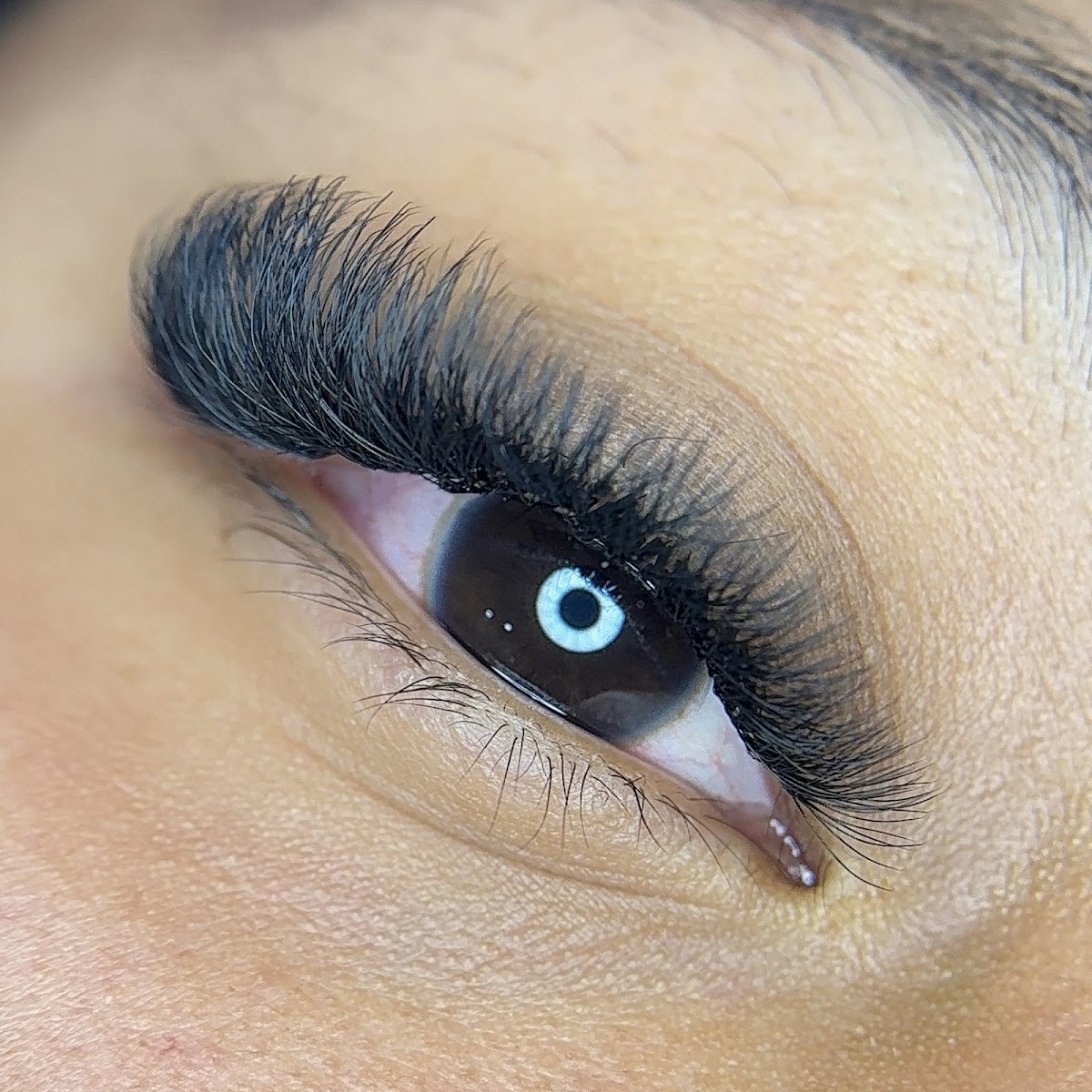 Laura Gurrute Beauty Studio