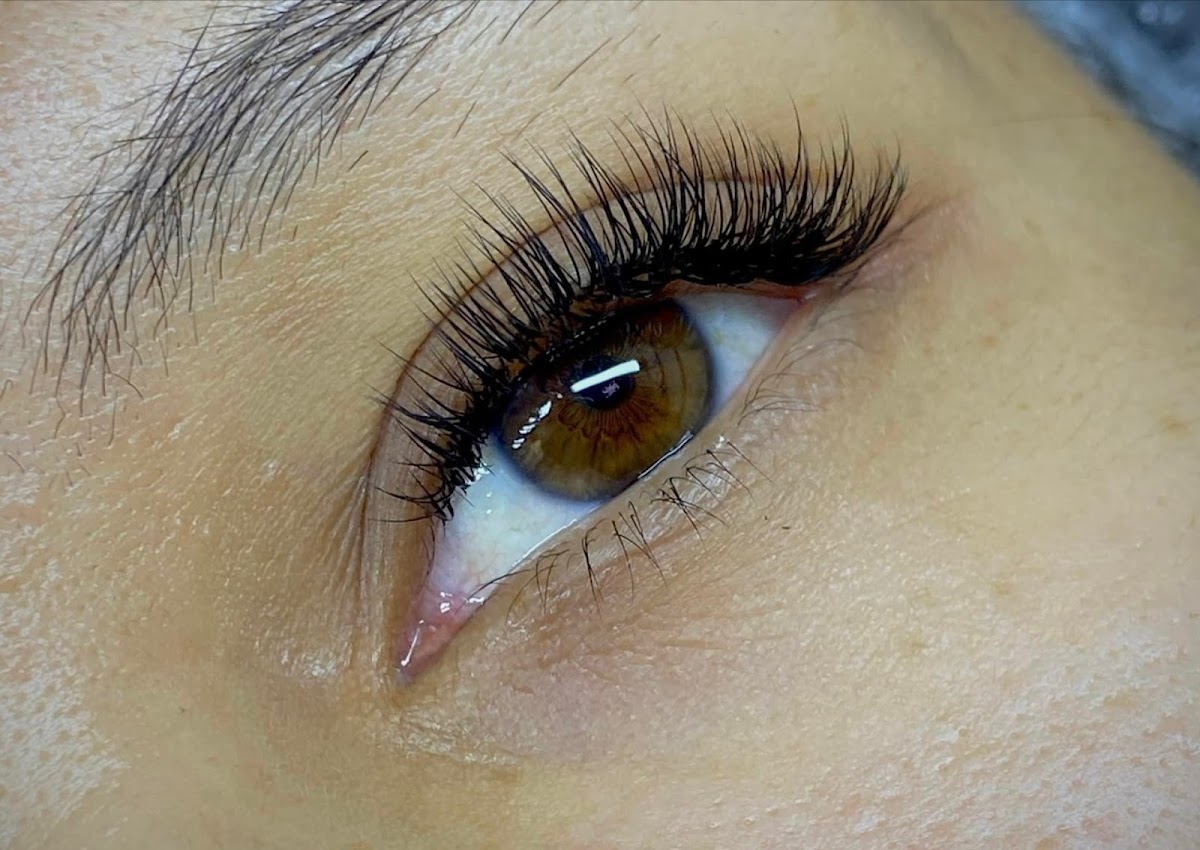 Factorlash Spa De Pestanas Y Cejas