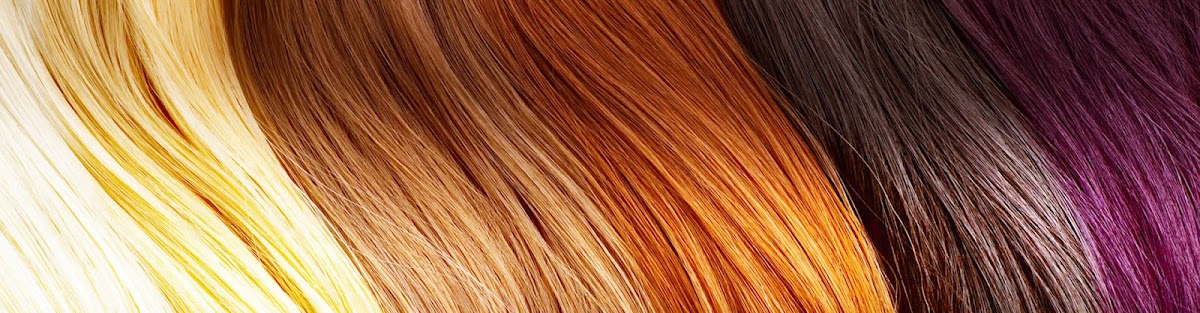 Frizerski salon Dijana