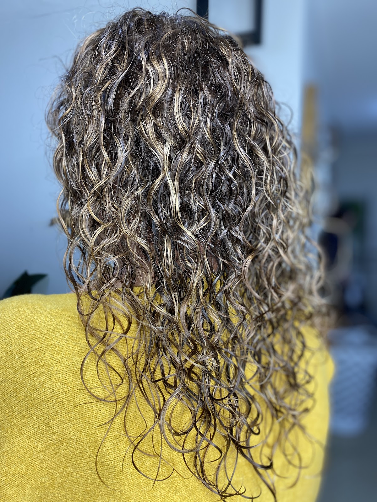 Susan Hecht Hair Design