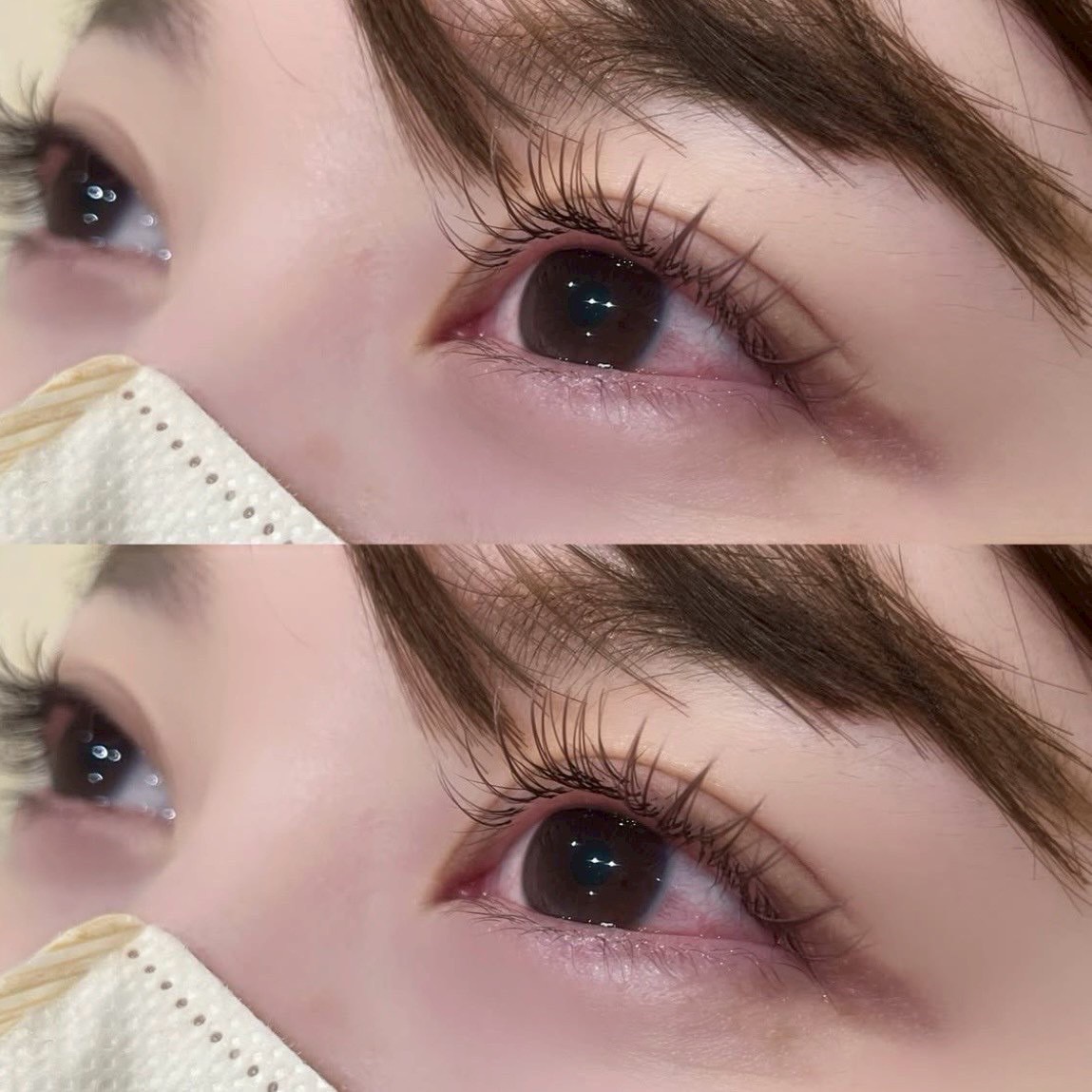 Sourcil Machida